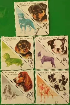 5 ADET,Gine Posta Pulları,1997,Köpek Pulları,Hayvan Damgası, Pul Koleksiyonu,Posta İşareti ile Kullanılır