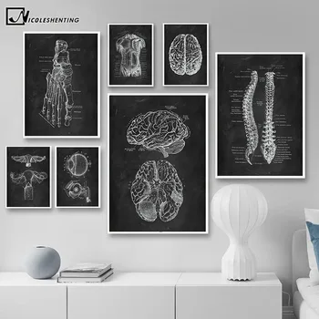 Insan Anatomisi Sanat Tıbbi Duvar Resmi İskelet Organ Kas Sistemi Vintage Poster Tuval Baskı Vücut Eğitim Boyama